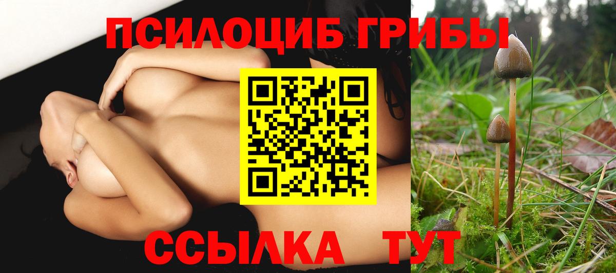 Псилоцибиновые грибы мицелий  Галлюциногенные грибы Psilocybe  Кунгур  Вход с VPN 
